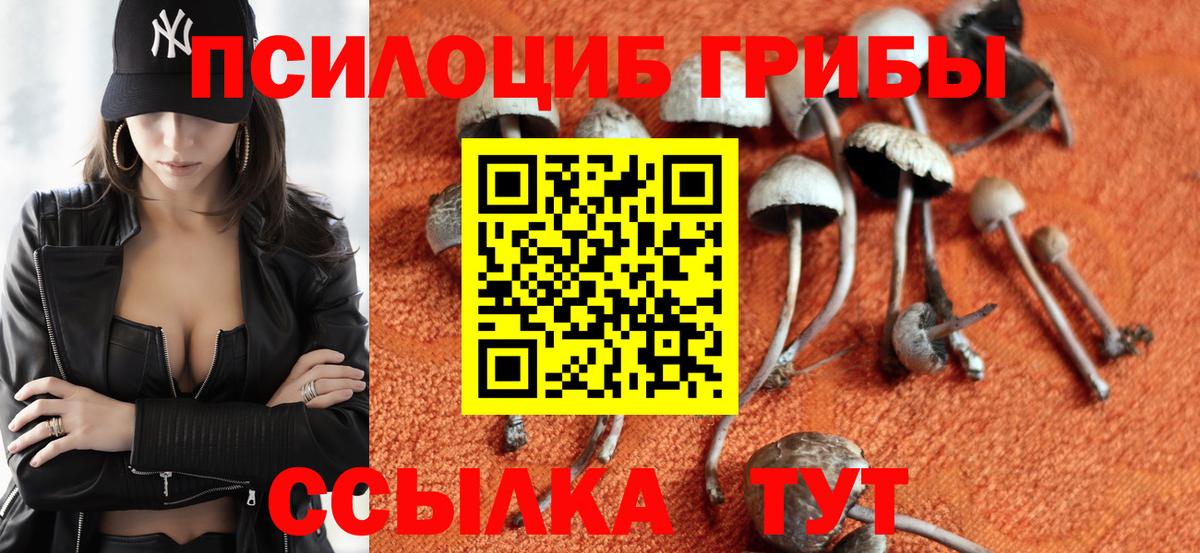 Галлюциногенные грибы мухоморы Ставрополь