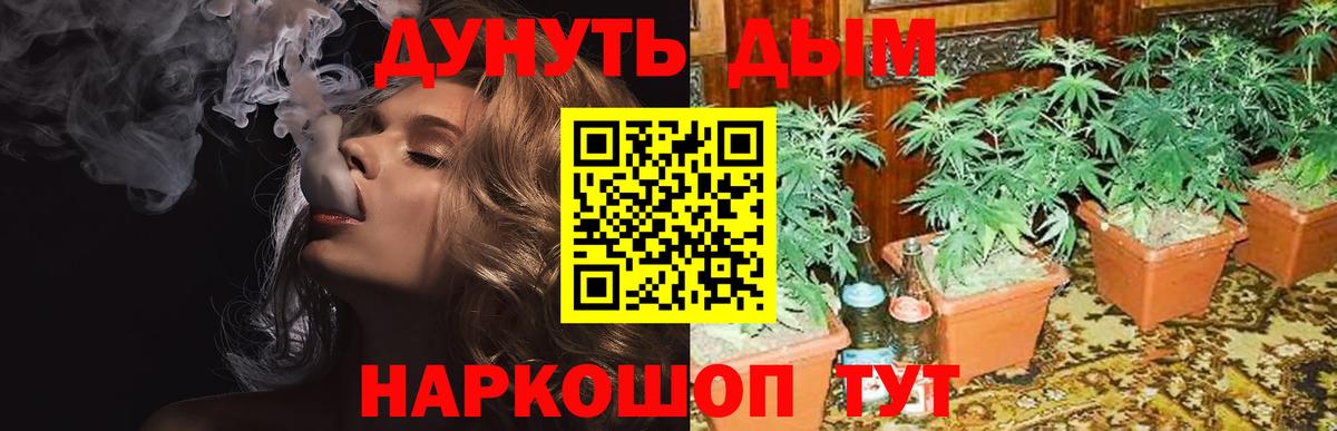 Ставрополь  Конопля SATIVA & INDICA  Канабис AK-47  Вход с VPN  Марихуана MAZAR 